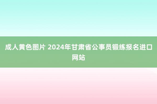 成人黄色图片 2024年甘肃省公事员锻练报名进口网站